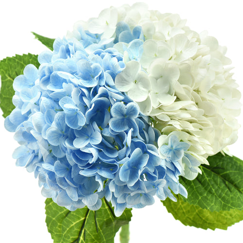FiveSeasonStuff 2 Stems Real Touch Petals and Leaves Artificial Hydrangea Flowers Long Stem Floral Arrangement | for Wedding Bridal Party Home Décor DIY Floral Decoration (White | Blue)