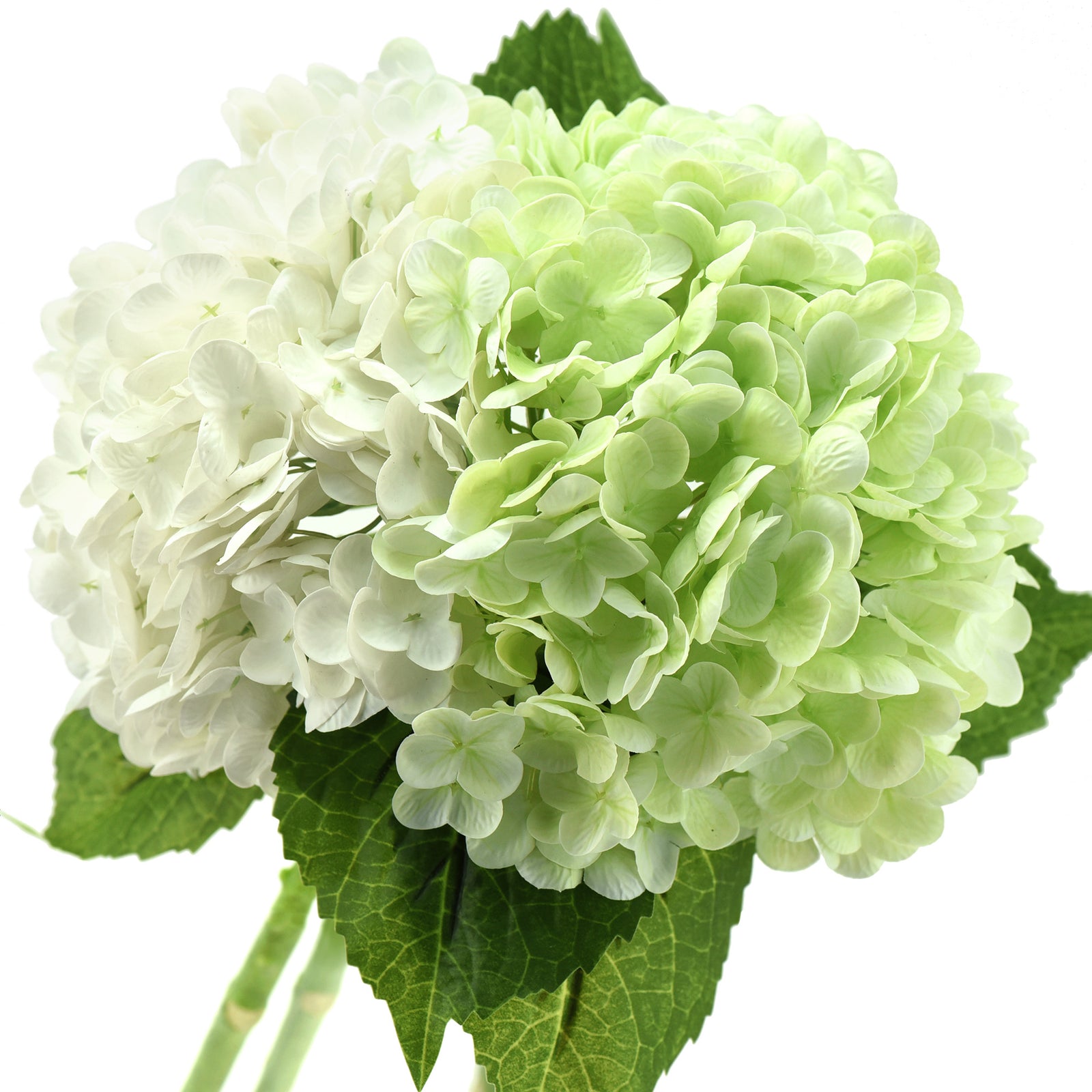 FiveSeasonStuff 2 Stems Real Touch Petals and Leaves Artificial Hydrangea Flowers Long Stem Floral Arrangement | for Wedding Bridal Party Home Décor DIY Floral Decoration (White | Pale Green)