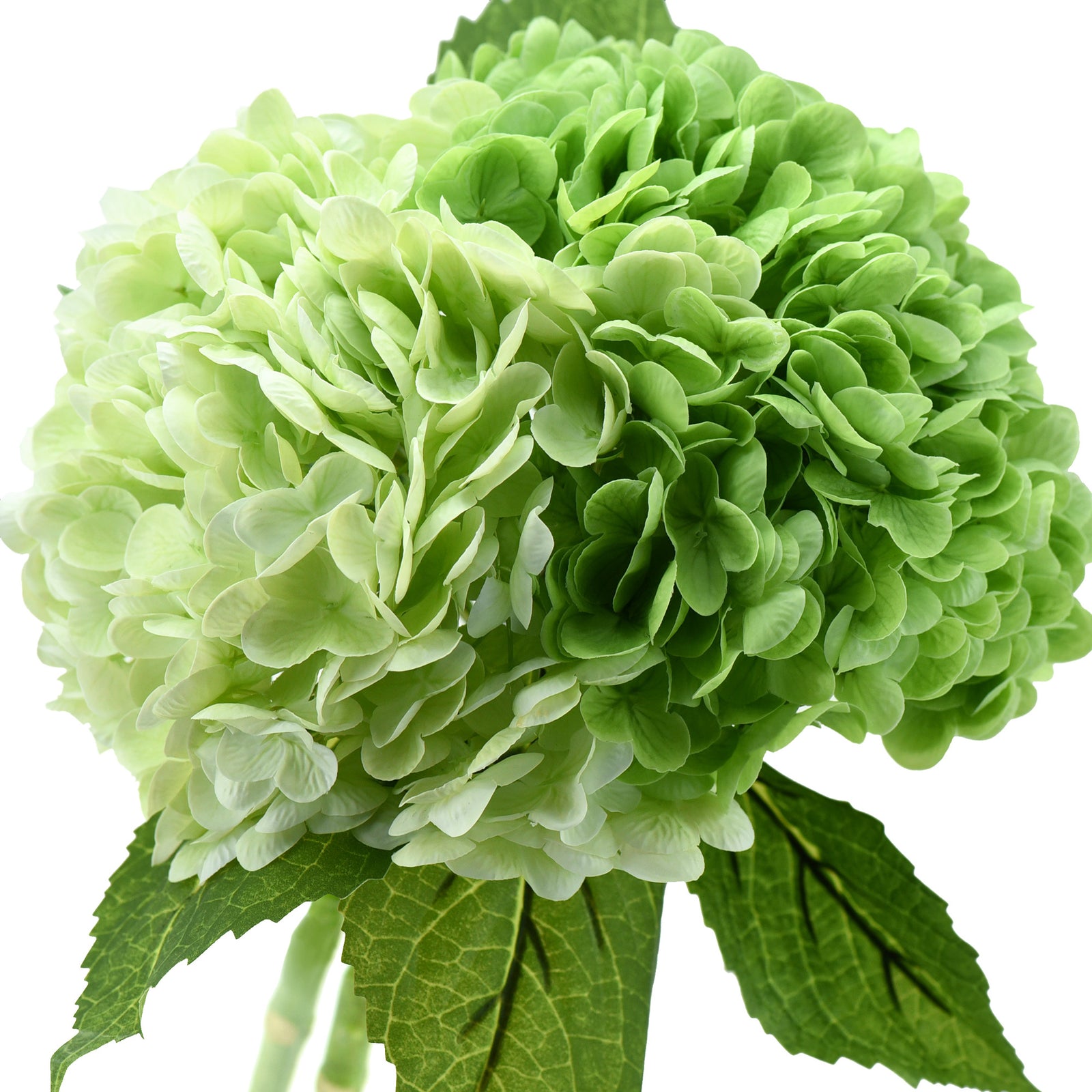 FiveSeasonStuff 2 Stems Real Touch Petals and Leaves Artificial Hydrangea Flowers Long Stem Floral Arrangement | for Wedding Bridal Party Home Décor DIY Floral Decoration (Green | Pale Green)