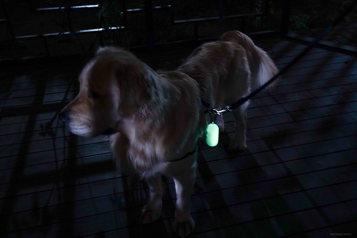 Dog Poop Bag Dispenser(Glow in the Dark)  — FIVESEASONSTUFF