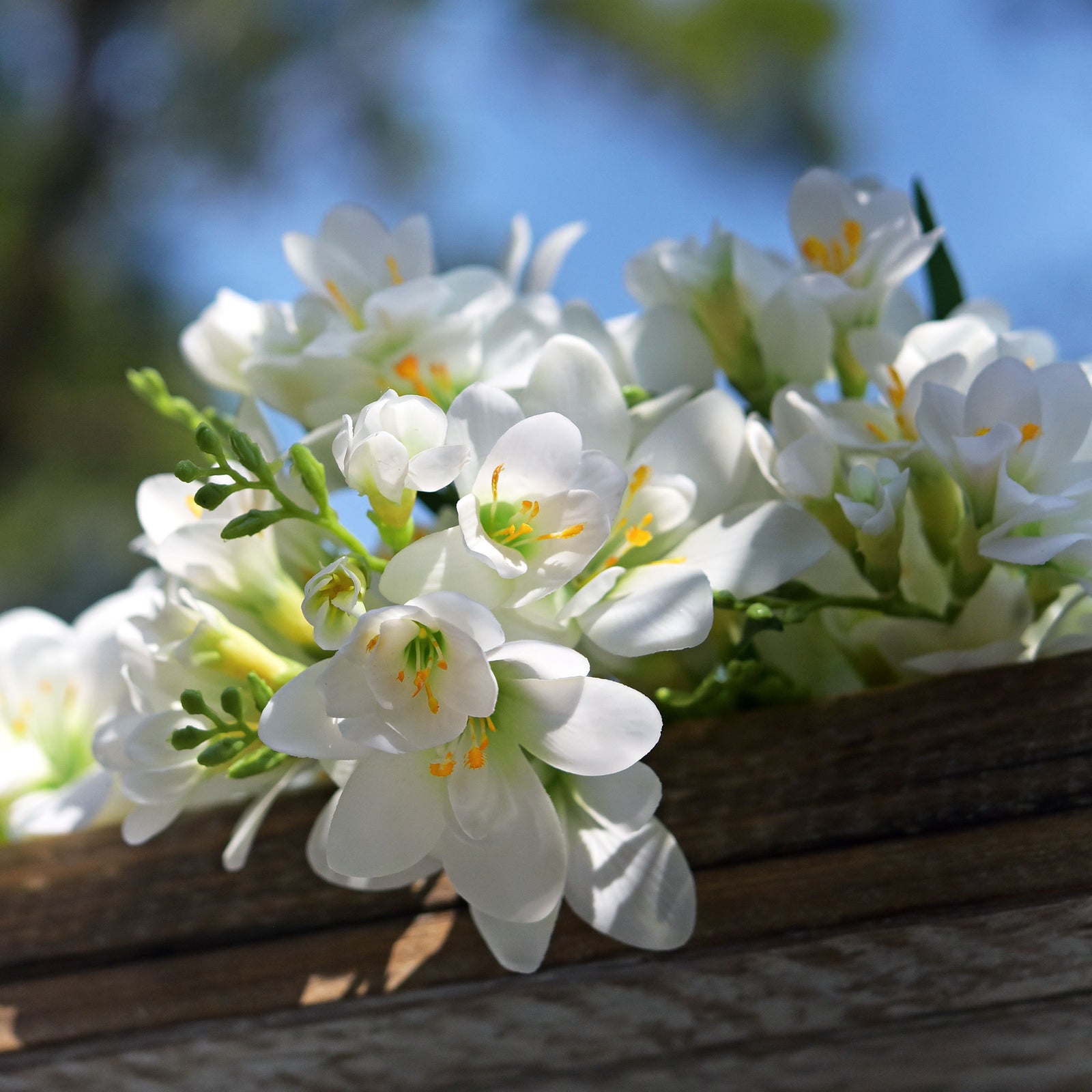 Real Touch Freesia (White) Long Stem Realistic Artificial Flowers, Wedding, Home Decor, Arrangment 6 Stems -FiveSeasonStuff