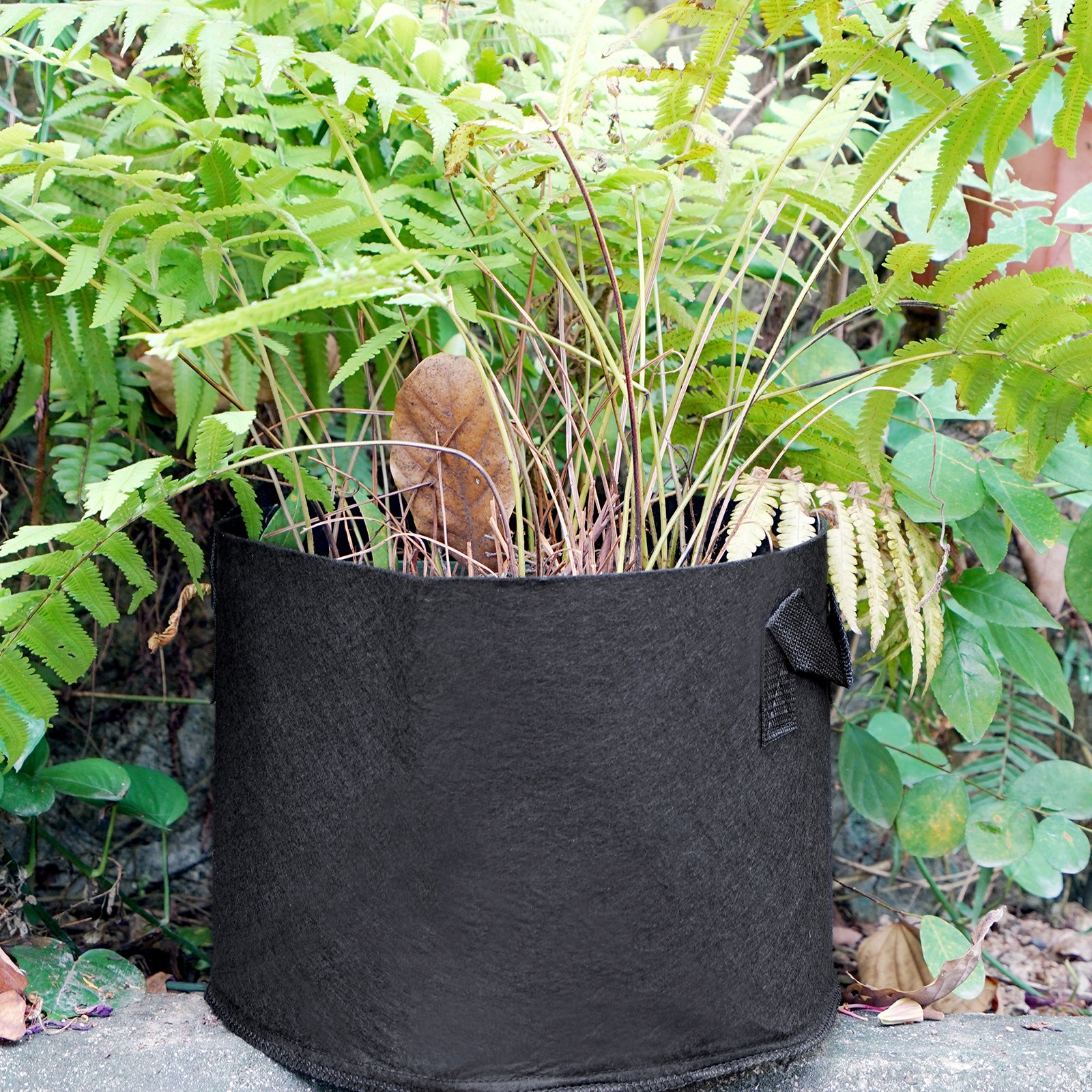 Vegetable Grow Bags,5 PCS Plant Grow Bags Breathable Garden Growing Bag  Planting Tomato Fabric Pots Garden Planter Container With Strap Handles For  Home,Potato,Carrot Planter Bags-7Gallon 