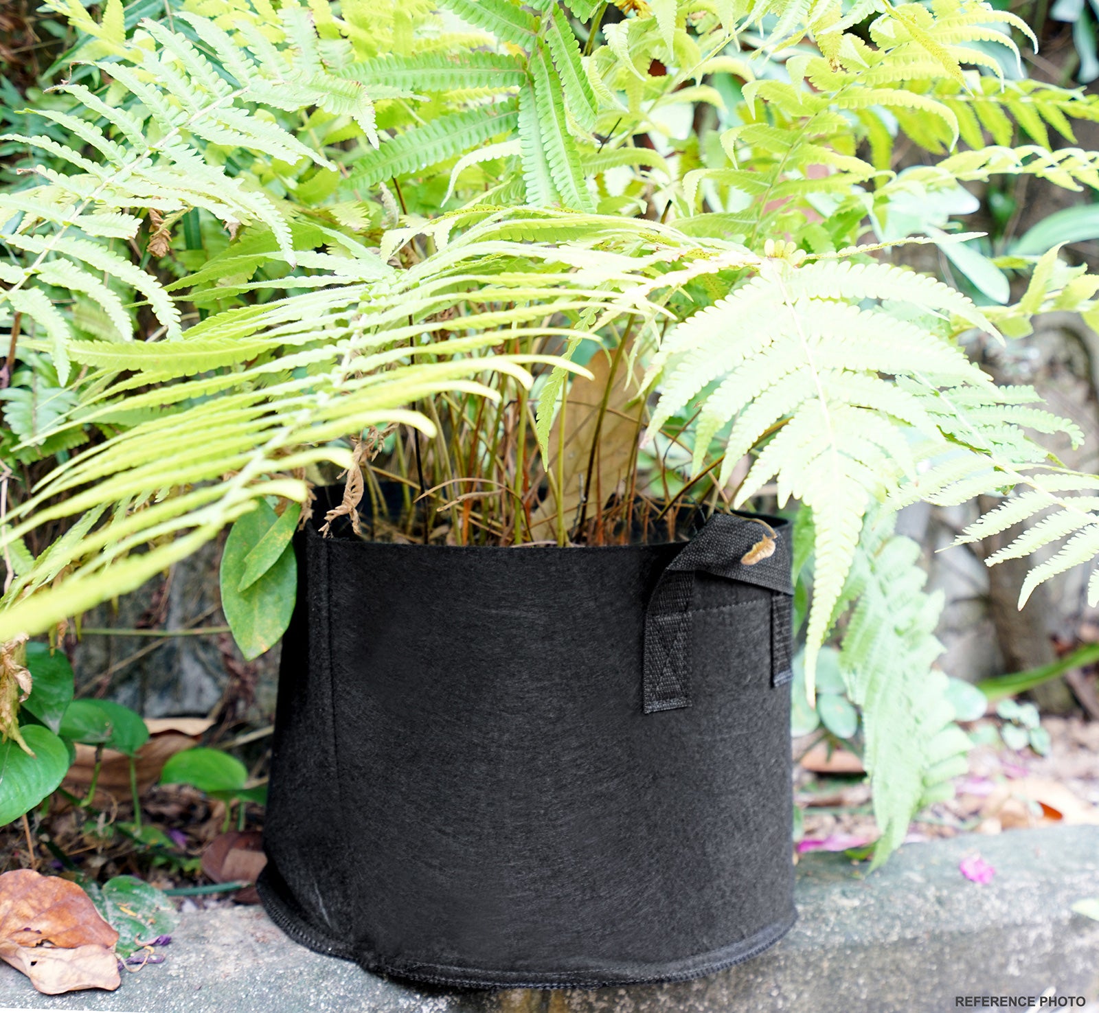 8 Pack 10 Gallons Grow Bags Healthy Smart Gardening Pots – FiveSeasonStuff