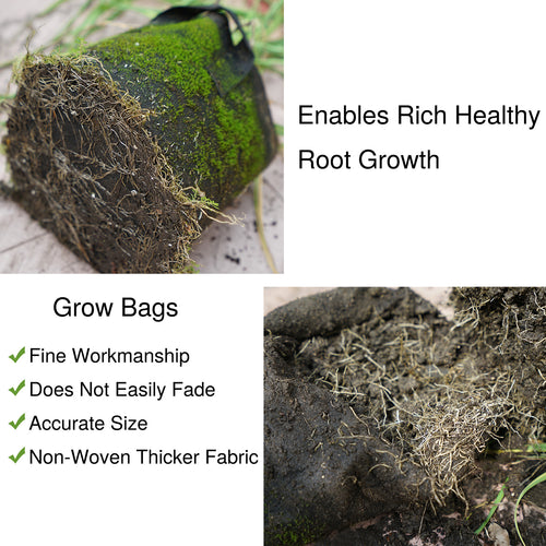 Fabric Grow Bags  Shop Breathable Fabric Pots - Bootstrap Farmer