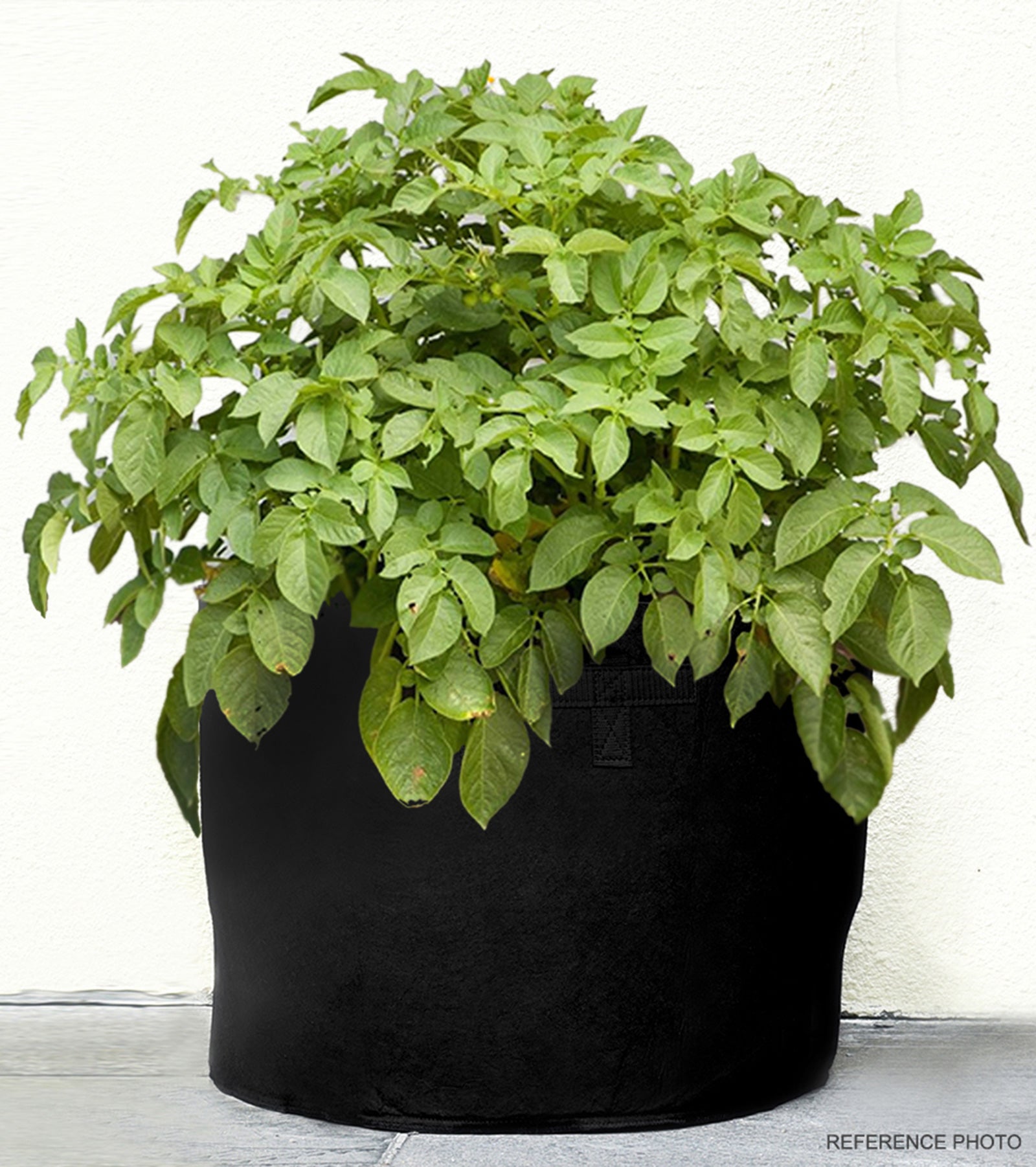 6 Pack 18 Gallons Grow Bags Healthy Smart Gardening Pots – FiveSeasonStuff
